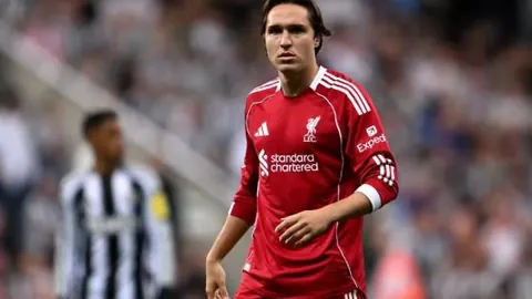 龙8国际 产品 022356 n6d