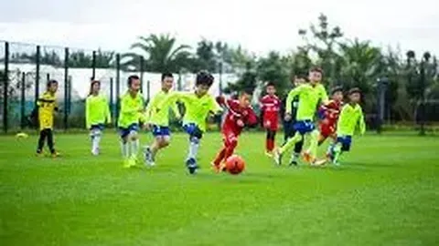 龙8国际 产品 022418 m24